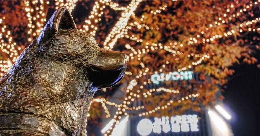 🇯🇵Qui ne connaît pas Hachikô, cet akita inu qui a attendu son maître décédé à la gare de Shibuya jusqu’à sa propre mort ? Au Hapon, Hachikô est une véritable vedette locale ⤵️
vivrelejapon.com/a-savoir/histo…