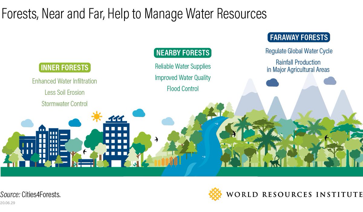 WRIRossCities's tweet photo. The connection between cities, water &amp; forests works at three levels:

🌳🌆 Urban forests assist stormwater management
🌲💧 Nearby forests protect city water supplies &amp; enhance resilience
🏞️🌎 Faraway forests drive regional &amp; global rainfall

https://t.co/FzmJfORKXP #ArborDay https://t.co/NXHco7FqG0