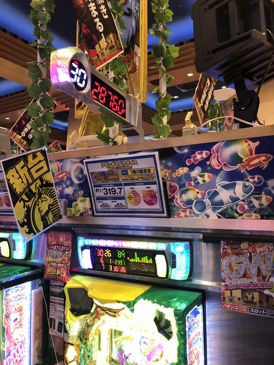 ファラオ本店 公式 Faraohontenbusu Twitter