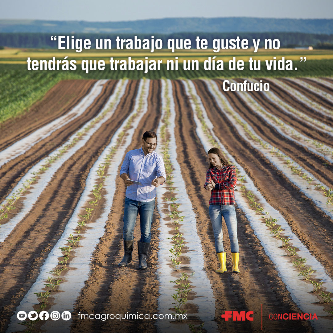 Conmemoramos el #DíaDelTrabajo por todos que día con día trabajan por mejorar el campo mexicano 🤠👍