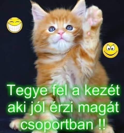 marktremmel1's tweet image. @DetectThenAct You don&apos;t know what this means but I&apos;m sending it to you with love &amp;lt;3 #OnlineBoldogság1Napja #1DayofOnlineHappiness