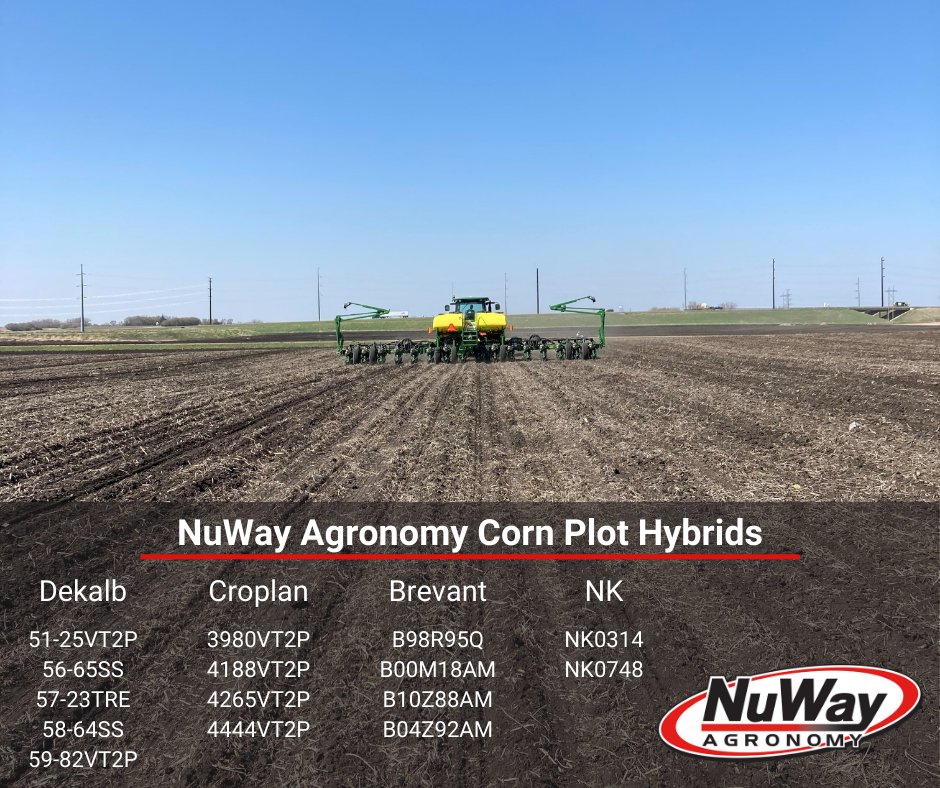 Our corn test plots are in! We are excited to have 5 plots this year located in Amboy, Welcome, Sherburn, St. James, and Butterfield. 
We are looking forward to seeing how these hybrids perform and collecting more local data to help drive future seed decisions.