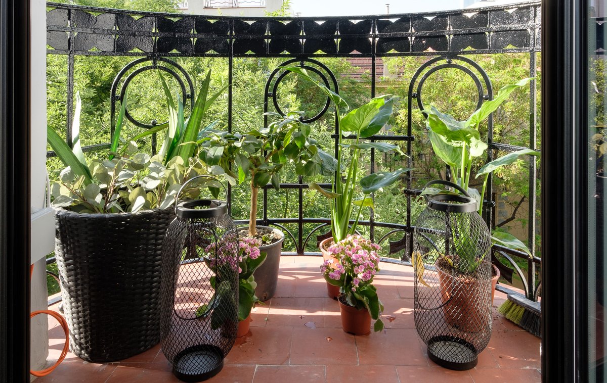 No necesitas mucho espacio para crear tu pequeño espacio verde en casa. Con un balcón es más que suficiente para alegrarnos las vistas a medida con las plantas que más nos gusten #IdeasConEstilo #EstoEsUXBAN