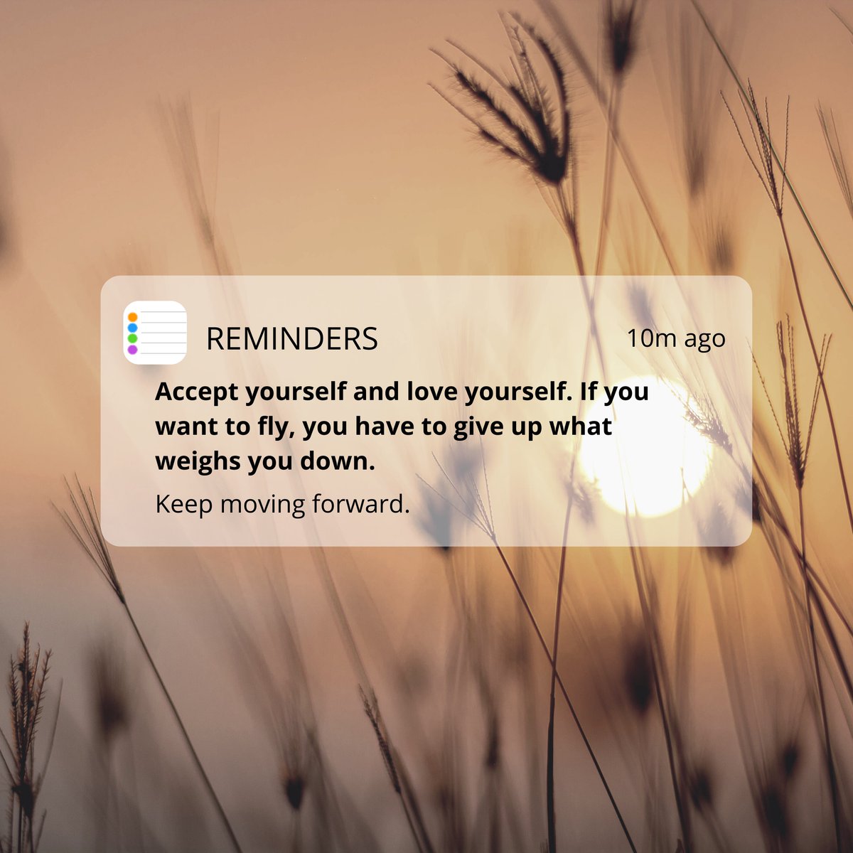 untclarkhall's tweet photo. Here is a positive quote for Friday! 

Photo description: Orange sky with silhouette of grass and a sun peeking through with a reminder text box that reads, “Accept yourself and love yourself. If you want to fly, you have to give up what weighs you down. Keep moving forward.” https://t.co/x234gPzKbW