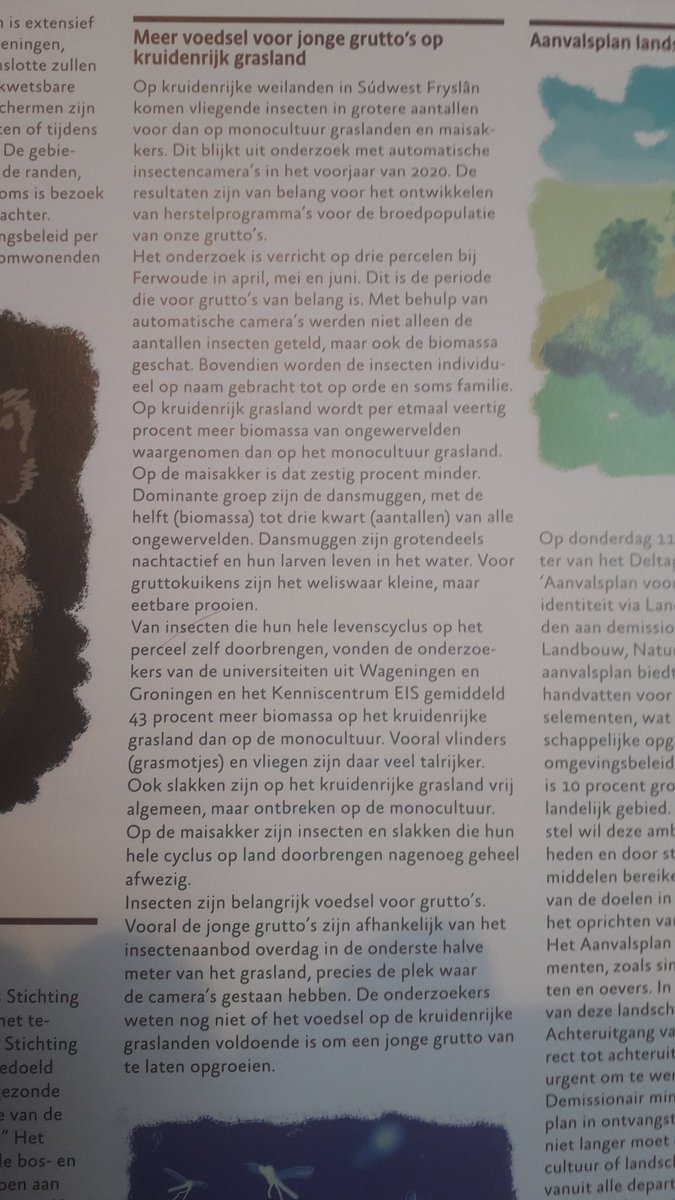Ploegdriever (@ploegdrieveranv) on Twitter photo Uit onderzoek met autom. insectencamera's blijken op kruidenrijke graslanden meer vliegende insecten en slakken voor te komen dan op monocultuur grasland of maisland. Niet verrassend, wel tekenend huidige stand boerenlandvogels. @RadboudHL @Sanderturnhout <a href="/ViaStichting/">Stichting Via Natura</a> <a href="/RMeussen/">Robin Meussen</a> Uit onderzoek met autom. insectencamera's blijken op kruidenrijke graslanden meer vliegende insecten en slakken voor te komen dan op monocultuur grasland of maisland. Niet verrassend, wel tekenend huidige stand boerenlandvogels. @RadboudHL @Sanderturnhout <a href="/ViaStichting/">Stichting Via Natura</a> <a href="/RMeussen/">Robin Meussen</a>