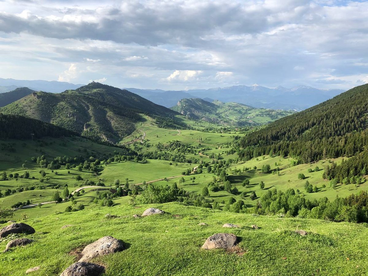 Yeşilin her tonu 🏕️
📍Lelishan
📸 @sarikanaryalar
#şavşatagel #cittaslowşavşat