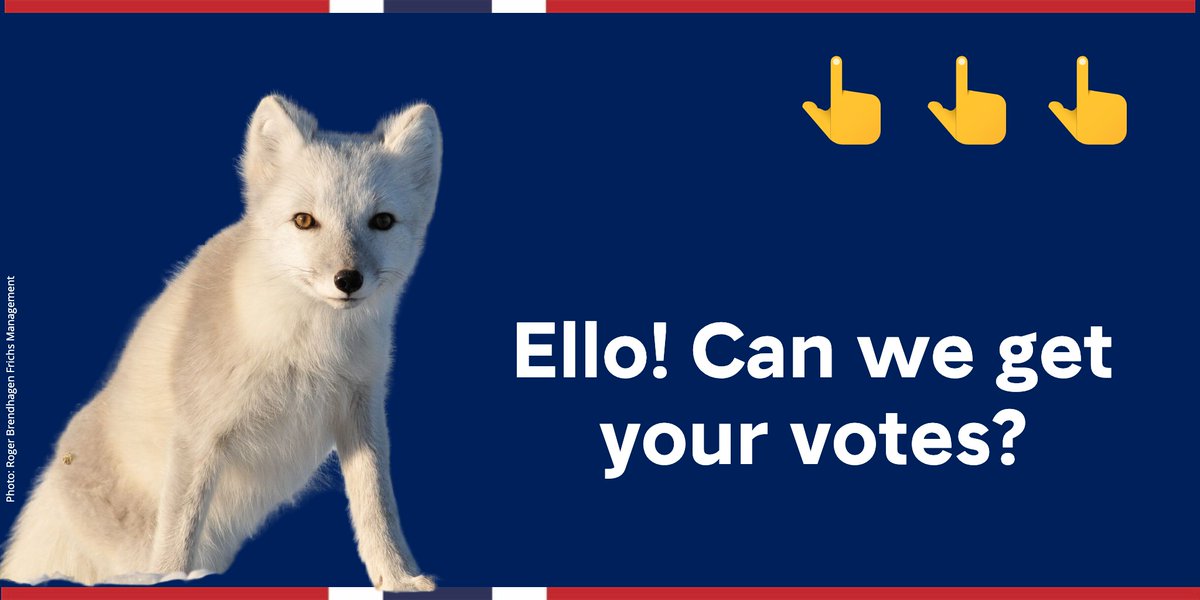 visitnorway's tweet image. Help Norway win People’s Voice award. Vote here, please: vote.webbyawards.com/PublicVoting#/… @TheWebbyAwards #norway #webby #Webby2021