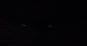 Hezhen Ren tweet media