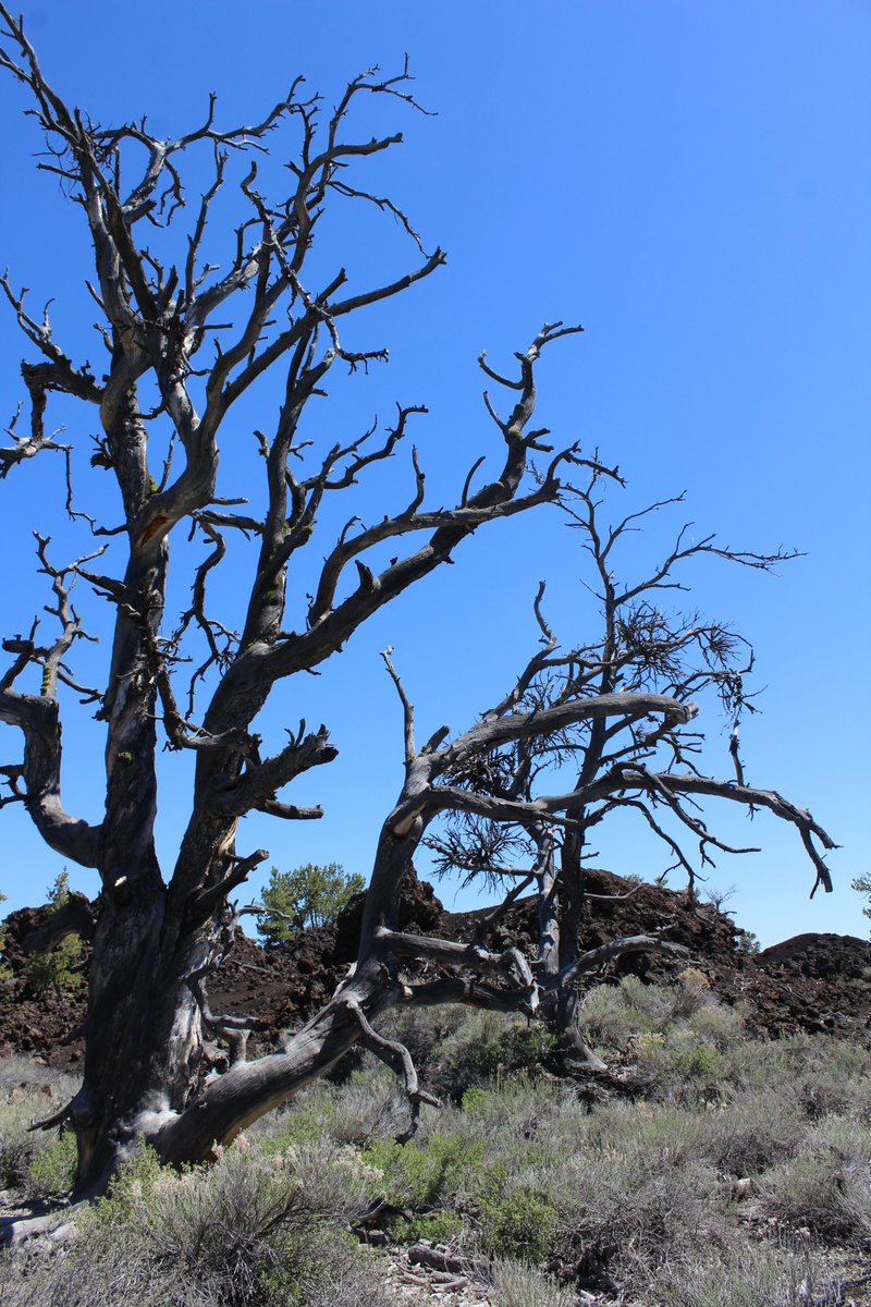 Craters of the moon is beautifully desolate