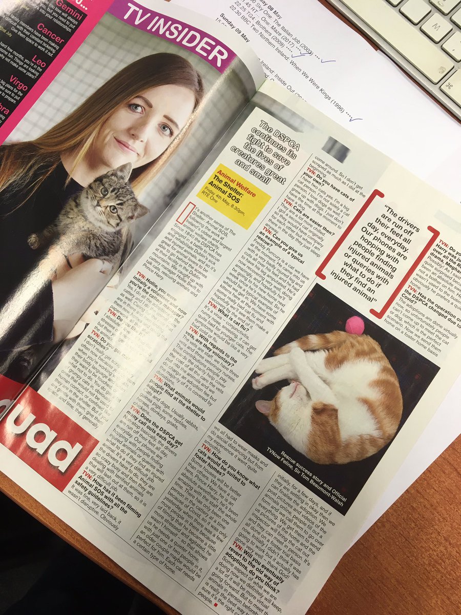 Really enjoying #TheShelterAnimalSOS on @RTEOne at 7.30pm tonight. It’s where we got our cat Sir Tom from and he’s in this week’s @TVNowMagazine in support of @DublinSPCA!