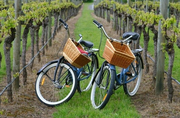 Clif Family: Wine, Food, Farming tweet media