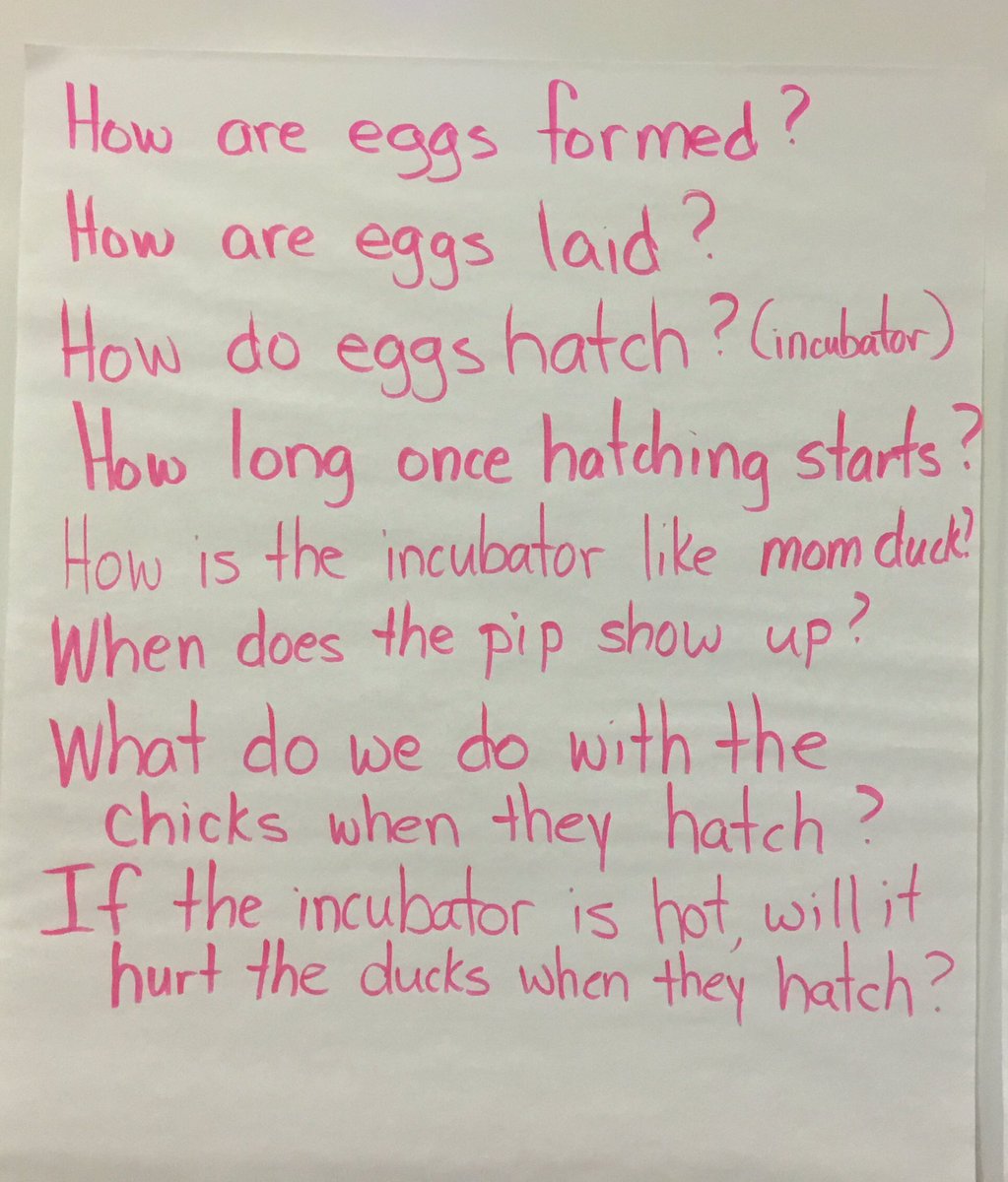 Tracey MacRitchie tweet media