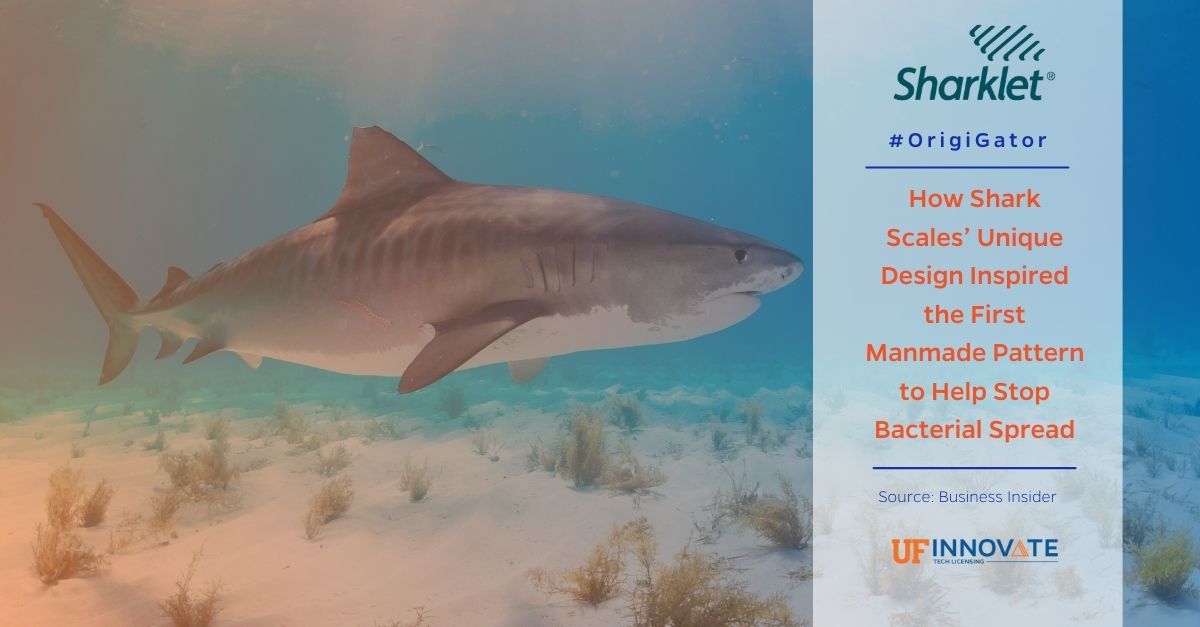 UF Innovate | Tech Licensing (@ufotl) on Twitter photo .<a href="/SharkletShield/">Sharklet Technologies</a>, #OrigiGator & <a href="/UFSidMartinBio/">UF Innovate | Accelerate @ Sid Martin Biotech</a> #alum, is featured in <a href="/BusinessInsider/">Business Insider</a> for its novel, breakthrough #technology that inhibits bacteria growth & even limits touch transfer of #viruses, reducing the transmission of harmful microorganisms! ow.ly/EUFF50EBZEA .<a href="/SharkletShield/">Sharklet Technologies</a>, #OrigiGator & <a href="/UFSidMartinBio/">UF Innovate | Accelerate @ Sid Martin Biotech</a> #alum, is featured in <a href="/BusinessInsider/">Business Insider</a> for its novel, breakthrough #technology that inhibits bacteria growth & even limits touch transfer of #viruses, reducing the transmission of harmful microorganisms! ow.ly/EUFF50EBZEA