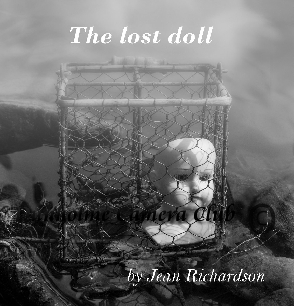 Our 3rd POTY competition of the year was a challenging one. Simply called Book Titles our members had to create their own images for book covers. In the Mono round this photo titled 'The Lost Doll' by Vivienne Mann scored 18 points. Well done Viv