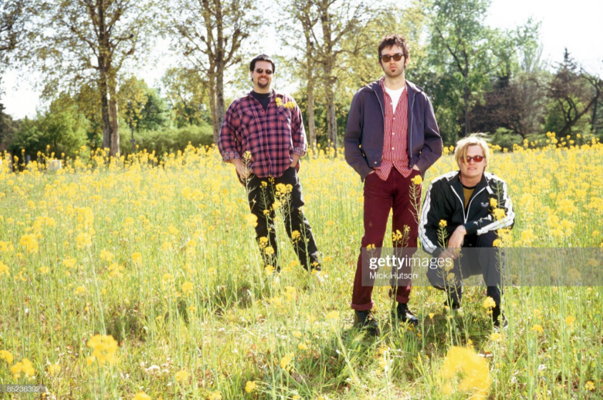 I'm squinting at this photo of Eels comparing the blooms to closeups of oilseed rape, and worrying that the growth is maybe a bit too sparse to really make the grade, but then it's probably just been trampled by The Charlatans. This is what my life has come to.