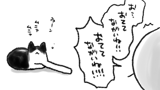10年近く一緒にいるのに、ねこ毎日新鮮ですごい 
