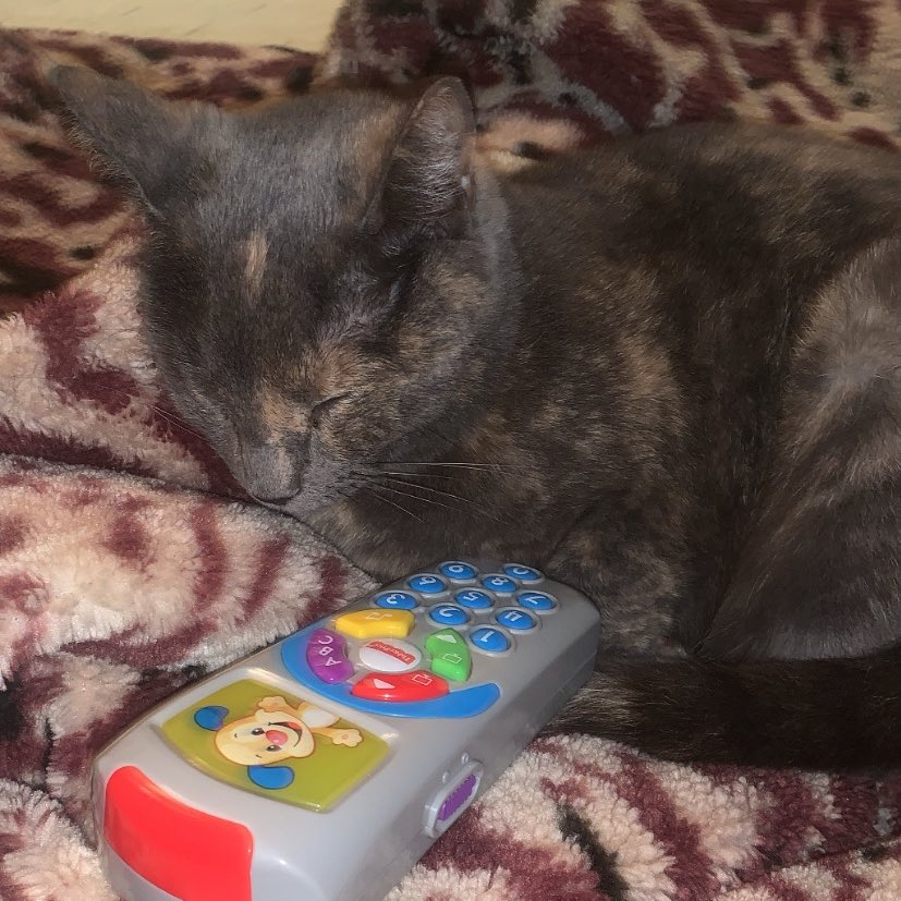 sbstnmrno's tweet photo. love falling asleep on FaceTime https://t.co/GnwB9qi1jx