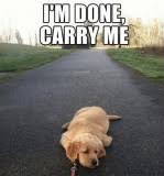 lisahfitz's tweet photo. Spring Semester Grading Done! I’m EXHAUSTED! #ProfFitz https://t.co/iUzW0152B3
