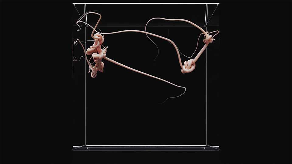 stash_magazine's tweet image. Witness the birth of new organic life forms in this striking #audio / #CG experiment (and #NFT) by @korbtv and @Echolab.

Watch here: bit.ly/3xAaGKJ
#render #animation #3danimation #NFTartist #3dartist