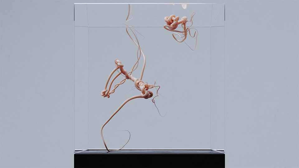 stash_magazine's tweet image. Witness the birth of new organic life forms in this striking #audio / #CG experiment (and #NFT) by @korbtv and @Echolab.

Watch here: bit.ly/3xAaGKJ
#render #animation #3danimation #NFTartist #3dartist