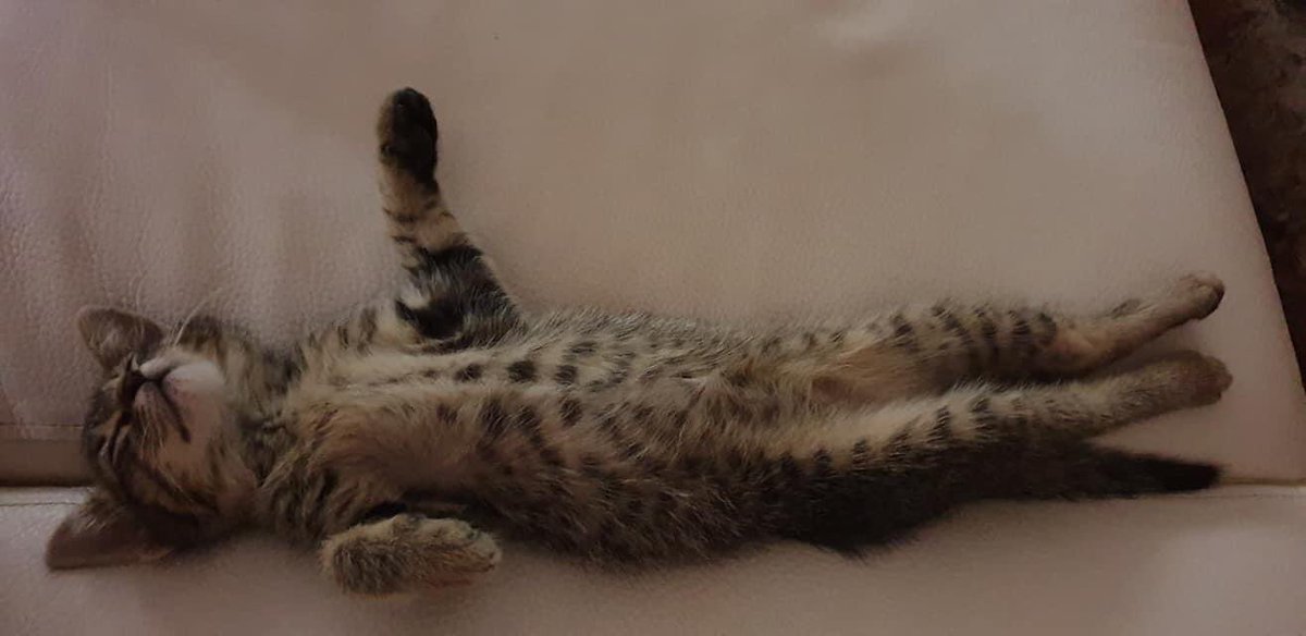 Prendere il venerdì con filosofia.