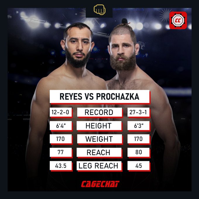 Domenech Reyes vs Jiri Prochazka