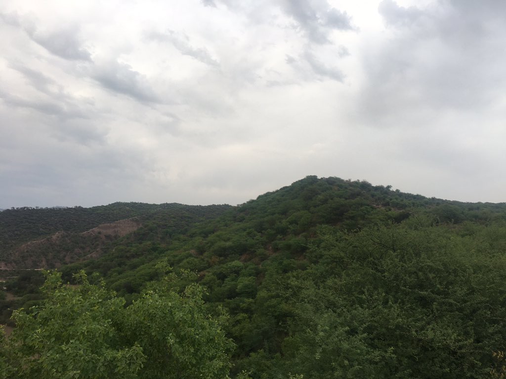 آج کس مچھوڑا ایک افطاری پر جاتے ہوئے برستہ کسچناتر، افطار سے کہچھ دیر پہلے بہت خوبصورت اور دلکش نظارہ۔
تایا زاد بھائی چوہدری فیاض کوٹیا آف بھمبر رجانی بھی ہمراہ