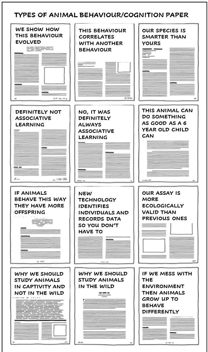 Gabrielle Davidson tweet media