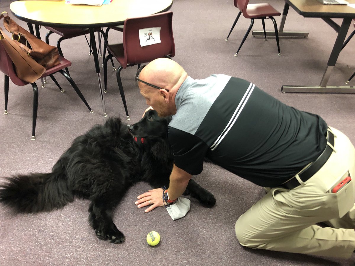 It’s #NationalTherapyDogDay! Thank you, BUFFY ⁦@Milford_Schools⁩, in Mrs. Panko’s room for welcoming us in her classroom today. Buffy continues to add another level of support to  students. ⁦@Milford_Super⁩ always wants a little extra time 🐾 with his furry friends.