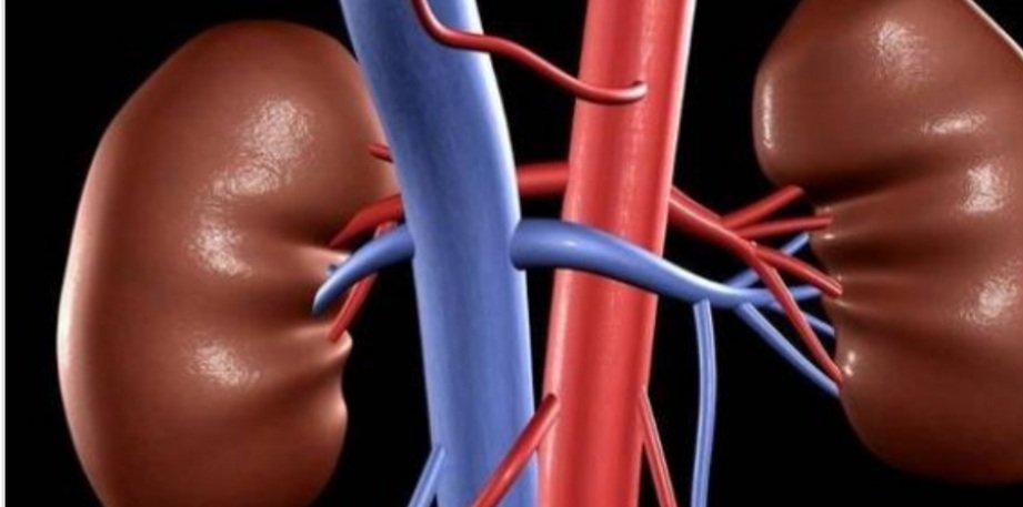 تذكرون اني نقلت لكم عدد من النظريات في اسباب السرطان وقلت لكم  انه يمكن ان يكون اكثر من نظرية صحيحة...