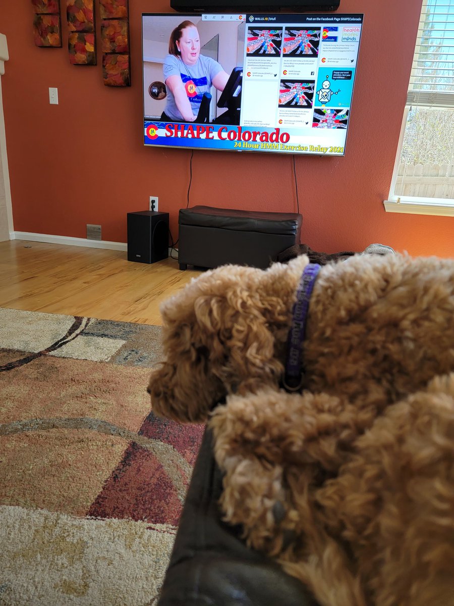 Pokey is getting prepared for her time to participate in the #shapecochampions event while cheering on @DrJMcM