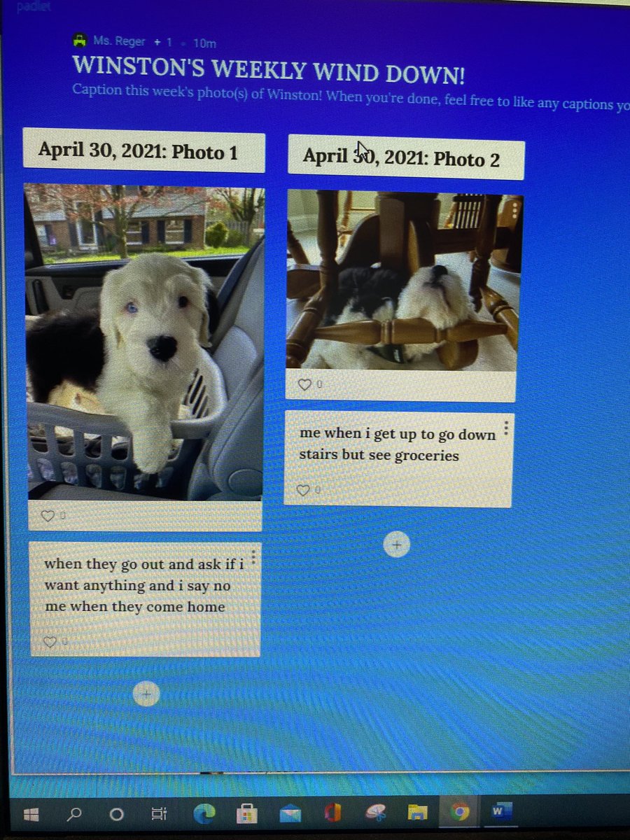 emily zalucki tweet media