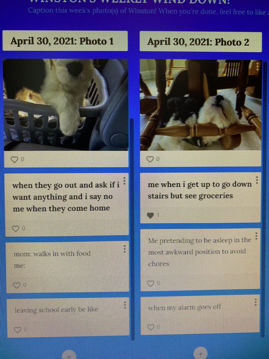 emily zalucki tweet media