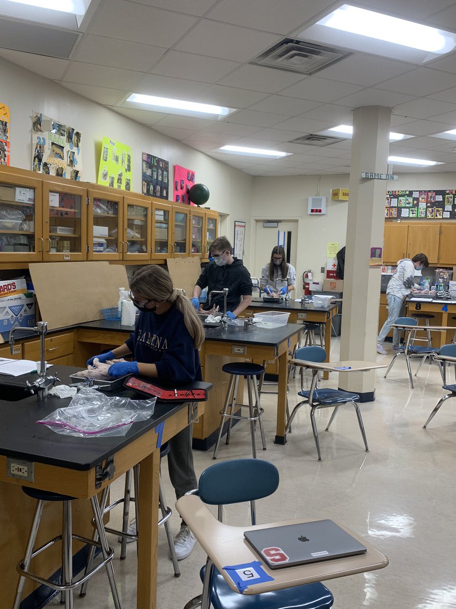 To see students doing a lab (specifically our fetal pig dissection in A&amp;P!)in this most challenging of school years is an amazing sight!  #WeAreLakePark