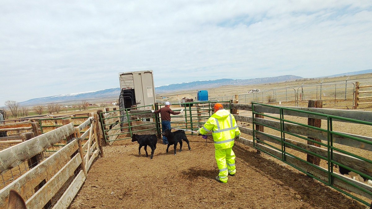 Guy in yellow is 32, and mentally disabled as a result of severe child abuse. He came home at 14 and found his parents had left, abandoning him. He lived alone for 6 months. When the guy at the gate found out, he took him in with his family and has taken care of him ever since.