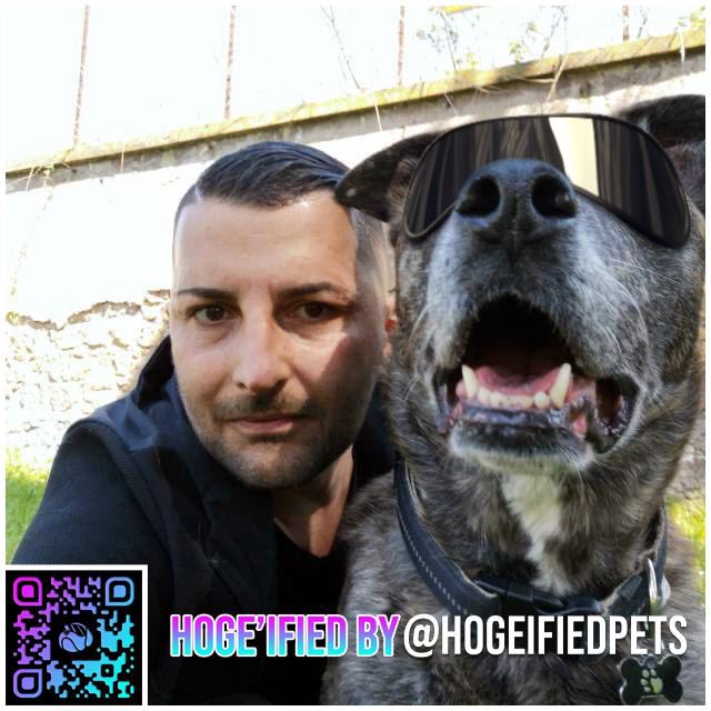 HOGE’ified Pets tweet media