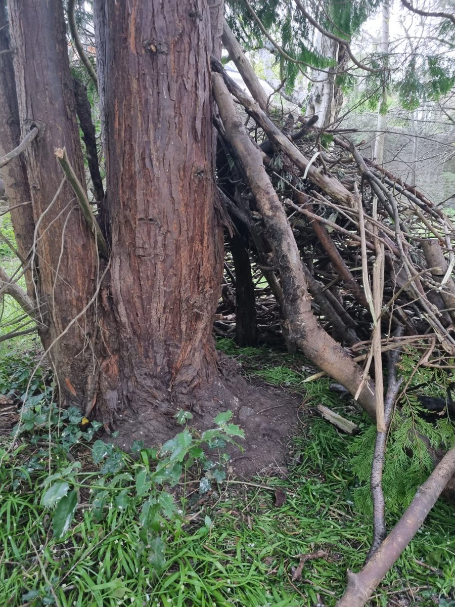 75thBraidScouts's tweet photo. Great night being back socially distanced outdoors.

Some good woodland shelters built!! #WeR75th #scouting https://t.co/5bz3eSYxE7