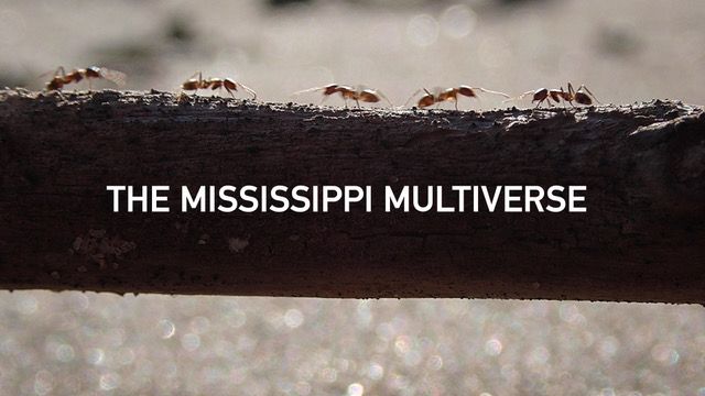 Anthropocene Curriculum / Anthropocene Commons (@anthrocommons) on Twitter photo Need an alternative to AI-scripted narratives on Netflix? Watch The Mississippi Multiverse by the wonderful <a href="/izacafilm/">Isabelle Carbonell</a> for free on our research platform this weekend, or anytime really ;) anthropocene-curriculum.org/contribution/t… Need an alternative to AI-scripted narratives on Netflix? Watch The Mississippi Multiverse by the wonderful <a href="/izacafilm/">Isabelle Carbonell</a> for free on our research platform this weekend, or anytime really ;) anthropocene-curriculum.org/contribution/t…