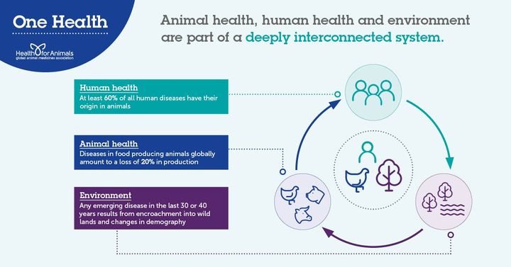 HealthforAnimals tweet media