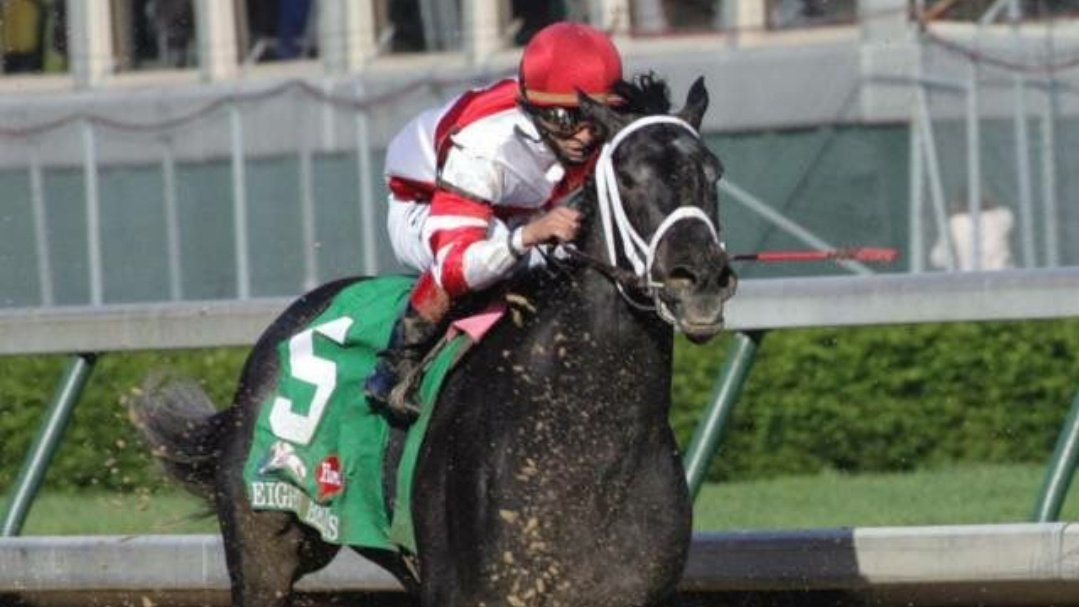 MaraZeman's tweet photo. Taking a moment to remember the incredible namesake of the upcoming Eight Belles Stakes @ChurchillDowns, who left us far, far too soon. RIP, beautiful girl. #EightBelles
~ Her heart had carried her to a place beyond where her legs were meant to go. ~ Paul Moran https://t.co/rkKINrRish