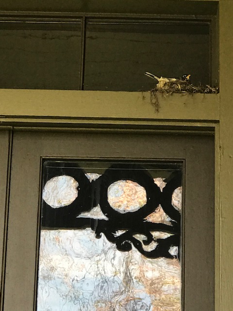 Morris Co. History tweet media