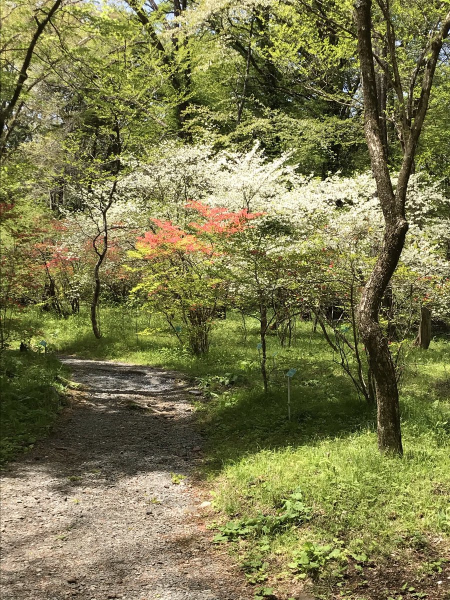 東京大学大学院理学系研究科附属植物園日光分園