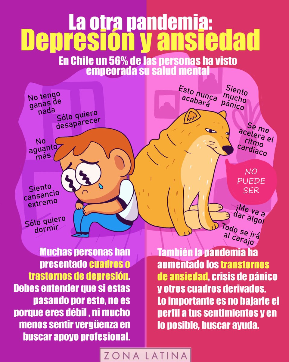 Zona Latina tweet media