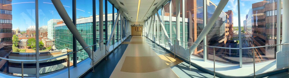 Stephanie Dudzinski MD, PhD tweet media