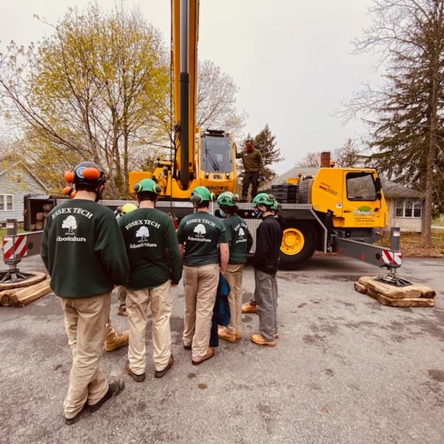 EssexNorthShore's tweet photo. Happy #ArborDay from the #ENSArbor Program! Sophomore & Juniors interacting with Mayer Tree regarding a hazard removal and Freshman & Juniors milling some salvage logs for the #ENSCulinary Bistro! #AgEdu #CareerTechEd #HawkTalk #CreateEncouragePromoteDevelop #ENSATS https://t.co/L3laHgkH9t