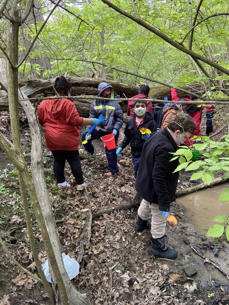 Mcscience348's tweet photo. Great fun on our fourth grade fossil hunt! #scienceteacher #mthcsproud https://t.co/63RMna4qAi