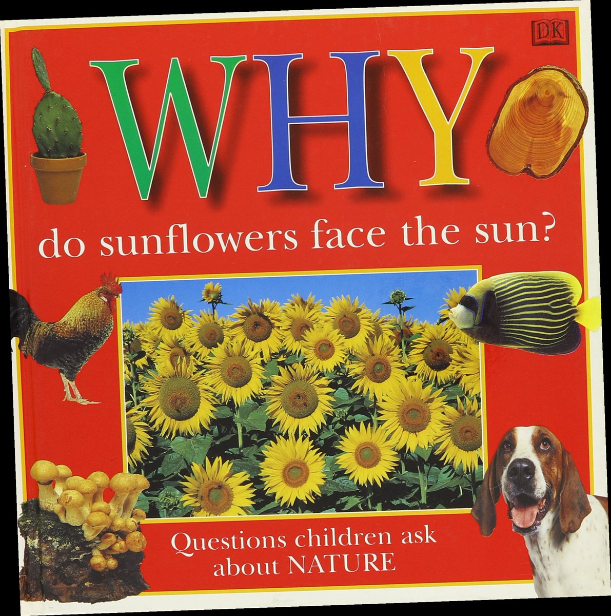 {Read/Download} WHY DO SUNFLOWERS FACE THE SUN (Why Books Series) by D