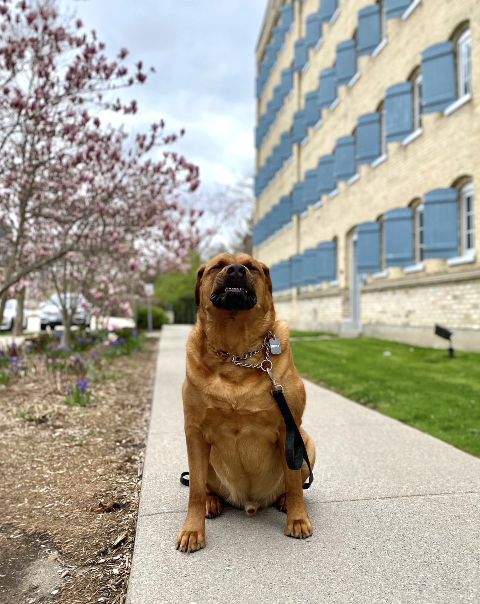 Allergy season got us all like 🤧