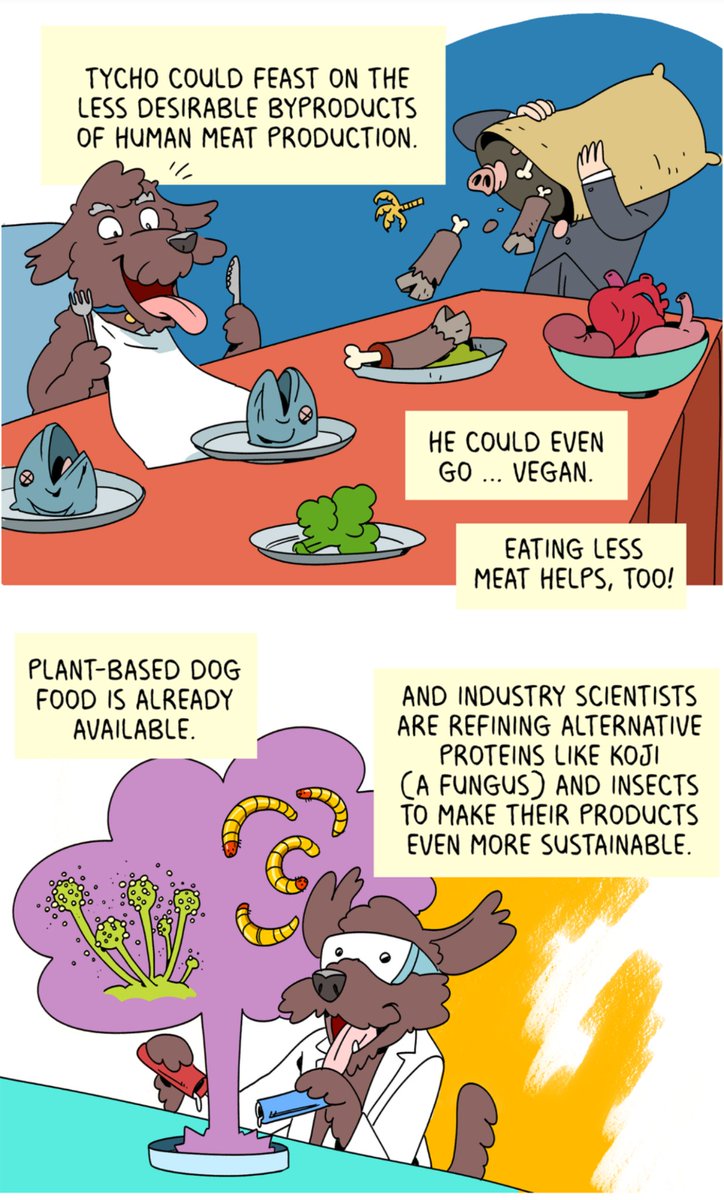 "feed your dog byproduct or make them vegan to save the environment!" Is  Nothing wrong with sustainable veganism, but source where foods come from & if they hurt indigenous peoples. Look for SUSTAINABLE meats.Don't kill your pet with poor food quality "for the environment"