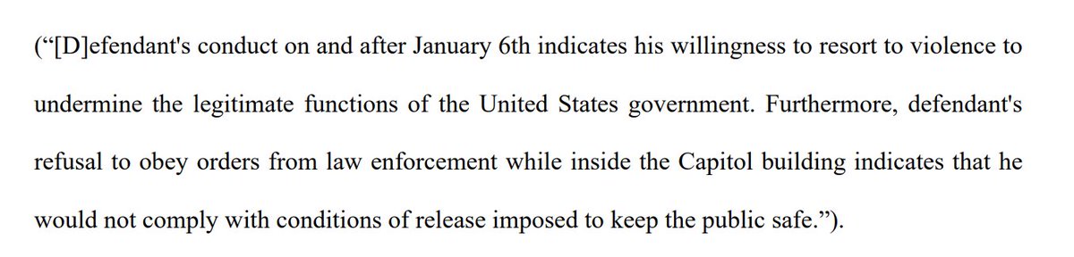 "The Court cannot conclude that an individual who, after three months of reflection, bragsto a stranger about the behavior he exhibited on the YouTube and Instagram videos, does not posea serious danger to the community.”